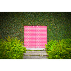 Fotografii artistice Pink Brick Door, David Jordan Williams
