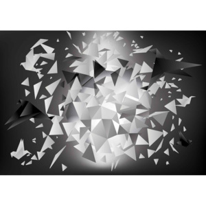 Explosion Birds Abstract Fototapet, (368 x 254 cm)