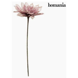 Floare Spumă Purpuriu by Homania