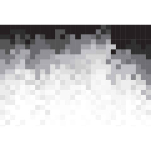 Abstract Pattern Black White Fototapet, (254 x 184 cm)