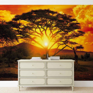 Sunset Africa Nature Tree Fototapet, (211 x 90 cm)