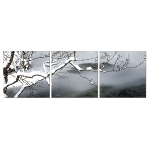 Winter Snapshot Tablou, (150 x 50 cm)