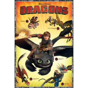 Dragons - Characters Poster, (61 x 91,5 cm)
