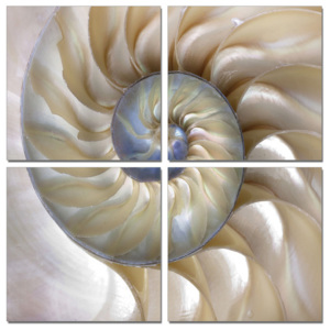 Spiral staircase Tablou, (100 x 100 cm)