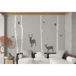 Birch grove - autocolant de perete Gri + trunchi alb 330 x 230 cm