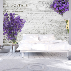 Fototapet - Lavender postcard 250x175 cm