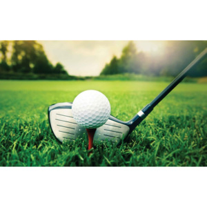 Golf Ball Club Fototapet, (416 x 254 cm)