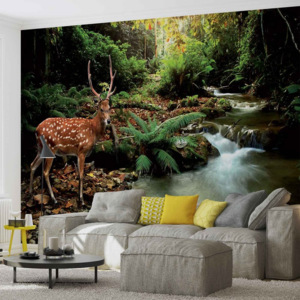 Deer in Forest Fototapet, (211 x 90 cm)