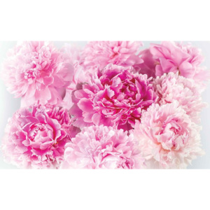Pink Carnations Fototapet, (184 x 254 cm)