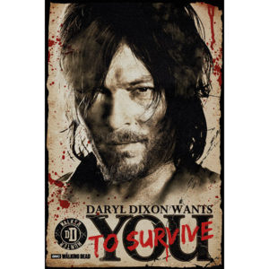 The Walking Dead - Daryl Needs You Poster, (61 x 91,5 cm)