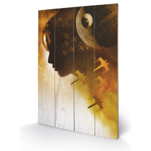 Rogue One: Star Wars Story - Jyn Silhouette Pictură pe lemn, (40 x 59 cm)