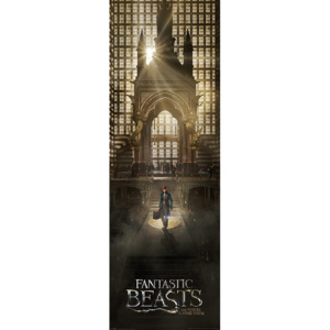 Fantastic Beasts And Where To Find Them - Teaser Poster, (53 x 158 cm)