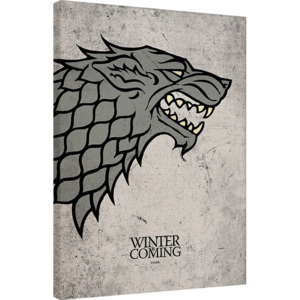 Game of Thrones - Stark Tablou Canvas, (60 x 80 cm)