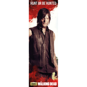 The Walking Dead - Daryl Poster, (53 x 158 cm)