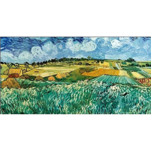 Plain near Avers, 1890 (part.) Reproducere, Vincent van Gogh, (100 x 50 cm)