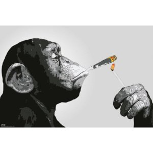Steez - Monkey Smoking Poster, (91,5 x 61 cm)