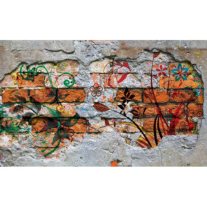 Wall Graffiti Street Art Fototapet, (416 x 254 cm)