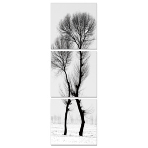 Modern design - black and white tree Tablou, (40 x 120 cm)
