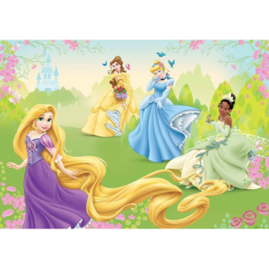 Disney Princesses Rapunzel Tiana Belle Fototapet, (208 x 146 cm)