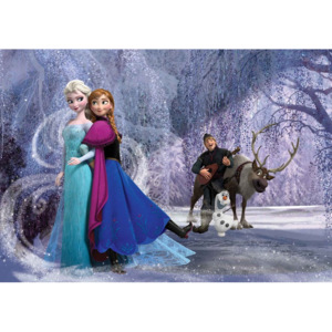 Disney Frozen Elsa Anna Fototapet, (254 x 184 cm)