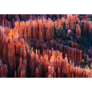 Bryce Canyon At Sunset Fototapet, (254 x 184 cm)