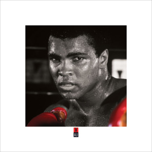 Muhammad Ali Boxing S. Reproducere, (40 x 40 cm)