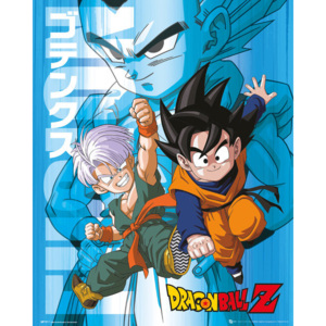 Dragon Ball Z - Trunks and Goten Poster, (40 x 50 cm)
