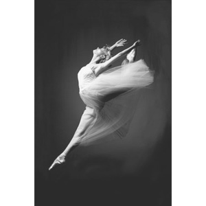 Ballerina - grace in motion Poster, (61 x 91,5 cm)
