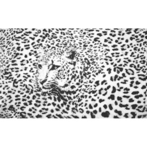 Leopard Fototapet, (152.5 x 104 cm)
