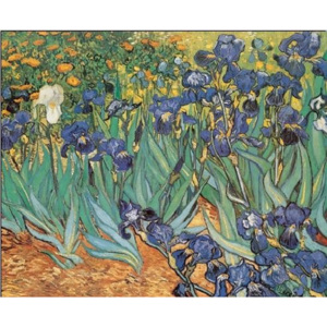 Irises, 1889 Reproducere, Vincent van Gogh, (80 x 60 cm)