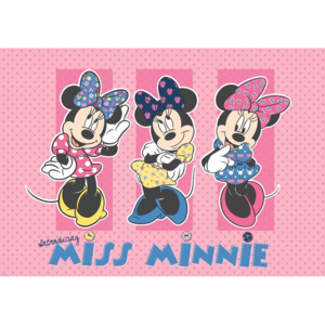 Disney Minnie Mouse Fototapet, (254 x 184 cm)
