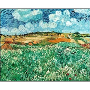 Plain near Avers, 1890 Reproducere, Vincent van Gogh, (70 x 50 cm)