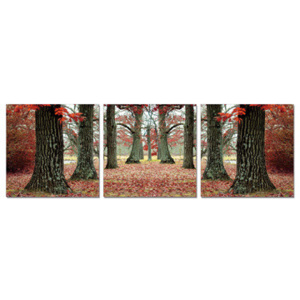 Autumn alley Tablou, (150 x 35 cm)