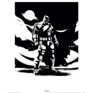 Batman V Superman - Batman Noir Reproducere, (40 x 50 cm)