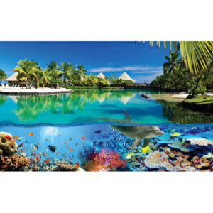 Island Paradise With Corals Dolphin Fototapet, (368 x 254 cm)
