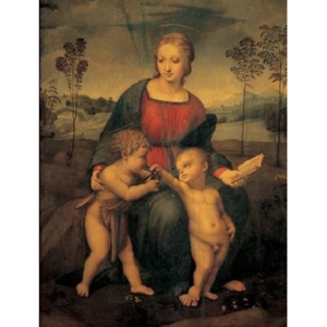Raphael Sanzio - Madonna of the Goldfinch - Madonna del Cardellino Reproducere, Raffaello, (35 x 50 cm)