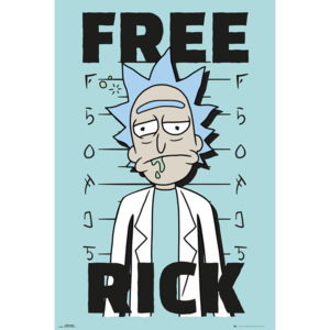 Rick And Morty - Free Rick Poster, (61 x 91,5 cm)