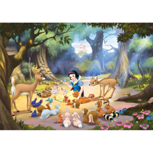 Disney Princesses Snow White Fototapet, (312 x 219 cm)