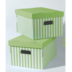 Set 2 cutii de depozitare Compactor Stripes, verde