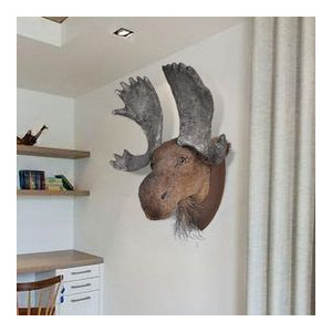 Element decorativ- Cap de elan