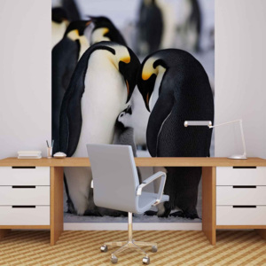 Animals Penguin Fototapet, (184 x 254 cm)