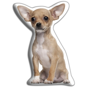 Pernă Adorable Cushions Chihuahua