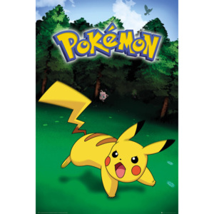 Pokemon - Pikachu Catch Poster, (61 x 91,5 cm)