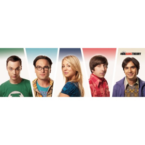 The Big Bang Theory - Cast Poster, (91,5 x 30 cm)