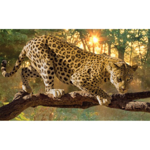 Leopard Fototapet, (416 x 254 cm)