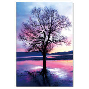 Pink Tree Tablou, (80 x 120 cm)