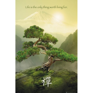 EuroPosters Zen Poster, (61 x 91,5 cm)