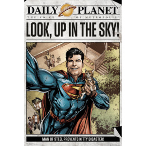 Superman - Daily Planet Poster, (61 x 91,5 cm)