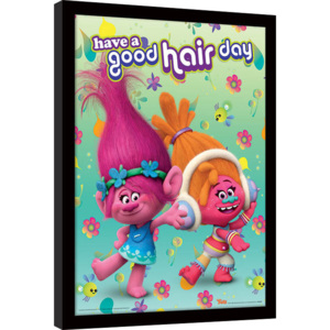 Trolls - Have A Good Hair Day Afiș înrămat