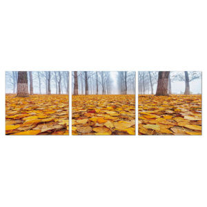 Ground covered with leaves Tablou, (150 x 50 cm)